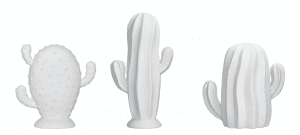 cactus bloomingville blanc