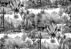 Papier-peint-fresque-du-desert-de-cactus