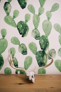 papier peint cactus