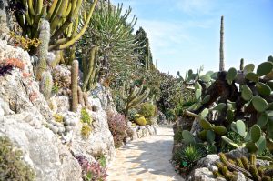 jardin botanique monaco