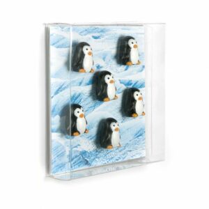 Boîte de 6 aimants PINGOUINS