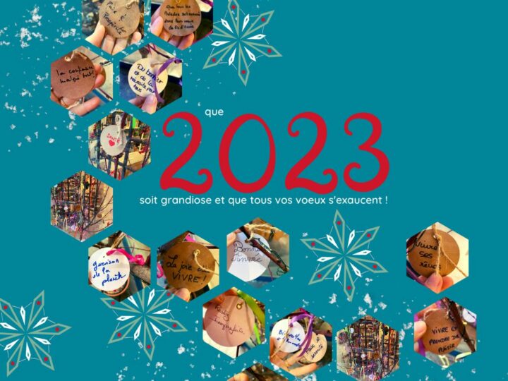 Nous vous souhaitons une année 2023 grandiose !